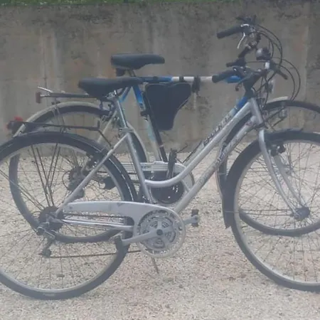 Il Tulipano Turistico *